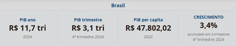 PIB Quadro resumo 2024